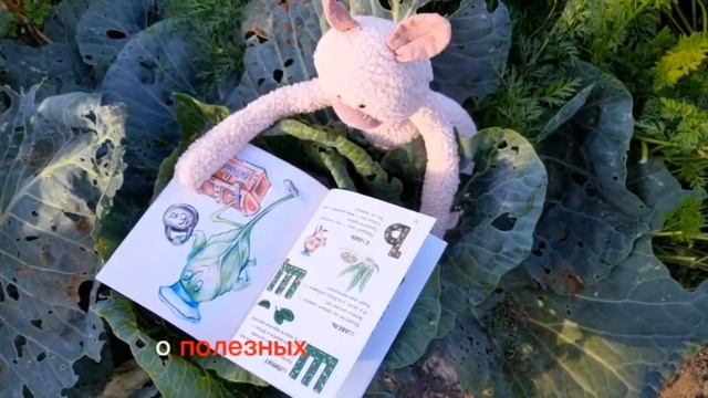 Йога для детей и родителей / полезные привычки для детей