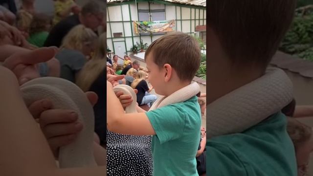 Ручной удав.mp4