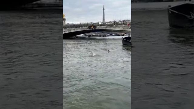 Министърът на спорта на Франция плува във фекални води на Сена преди началото на Олимпийските игри