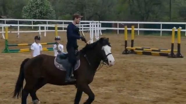 город Новомосковск кск алькор джигитовка