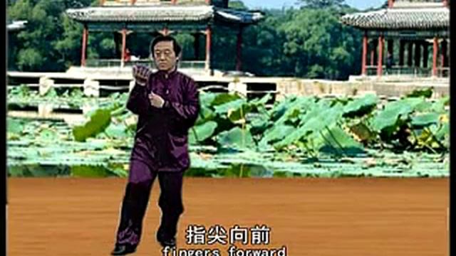 Чэнь Чжанлей Син Цзя ПаоЧуй 1 часть // Chen Zhenglei Sin Jia PaoChui 1 part