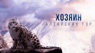 Хозяин Алтайских гор — Русский трейлер (2024)