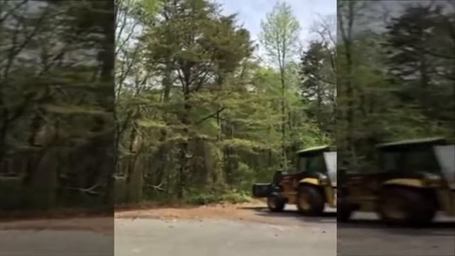 стряхнуть пыльцу с дерева не дожидаясь разлета в  Нью Джерси
