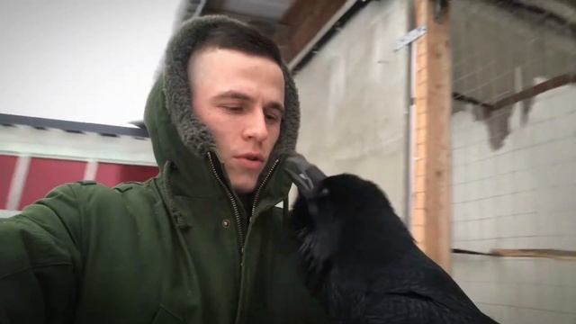 Просто ворон с парнем )