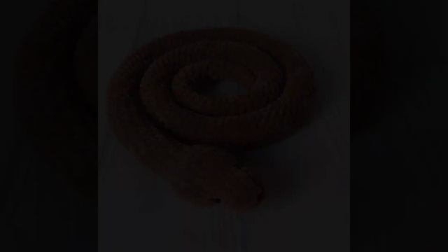 Вязаная игрушка змея #вязанаяигрушка #игрушказмея Cute snake lovers #snakevideo #snakelovers #snake