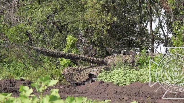Работа экипажей танков Т-80БВМ группировки войск «Север» уничтожили замаскированные взводные опорные