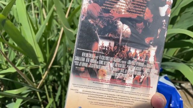 Новое пополнение видеокассет: лицензия или пиратка