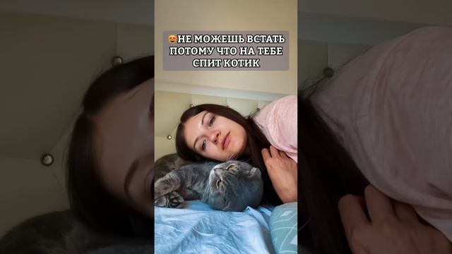 ЭТО МОГУТ ПОНЯТЬ ТОЛЬКО ‘КОШАТНИКИ’