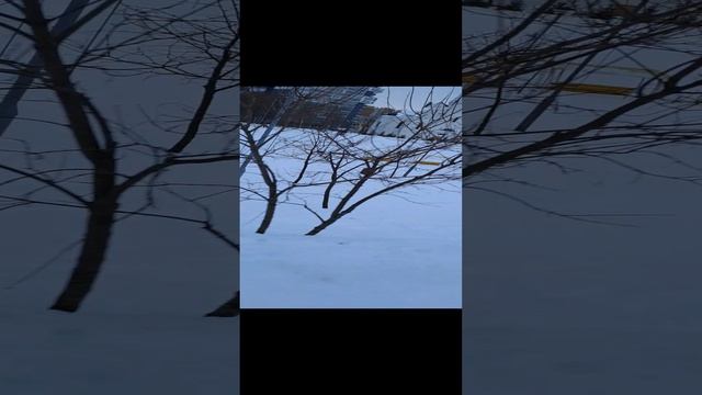 Кудрово(парк)