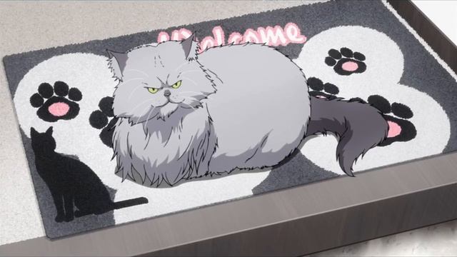 Кот, добрый вечер