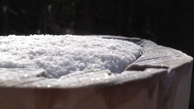 СОЛОНЕЦ ДЛЯ ЛОСЯ