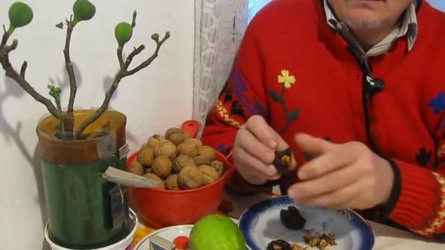 Лекарство 