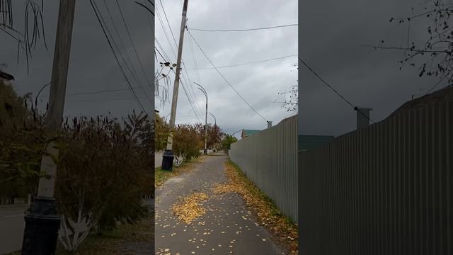 2022-10-11
