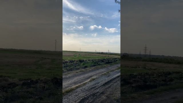 FPV