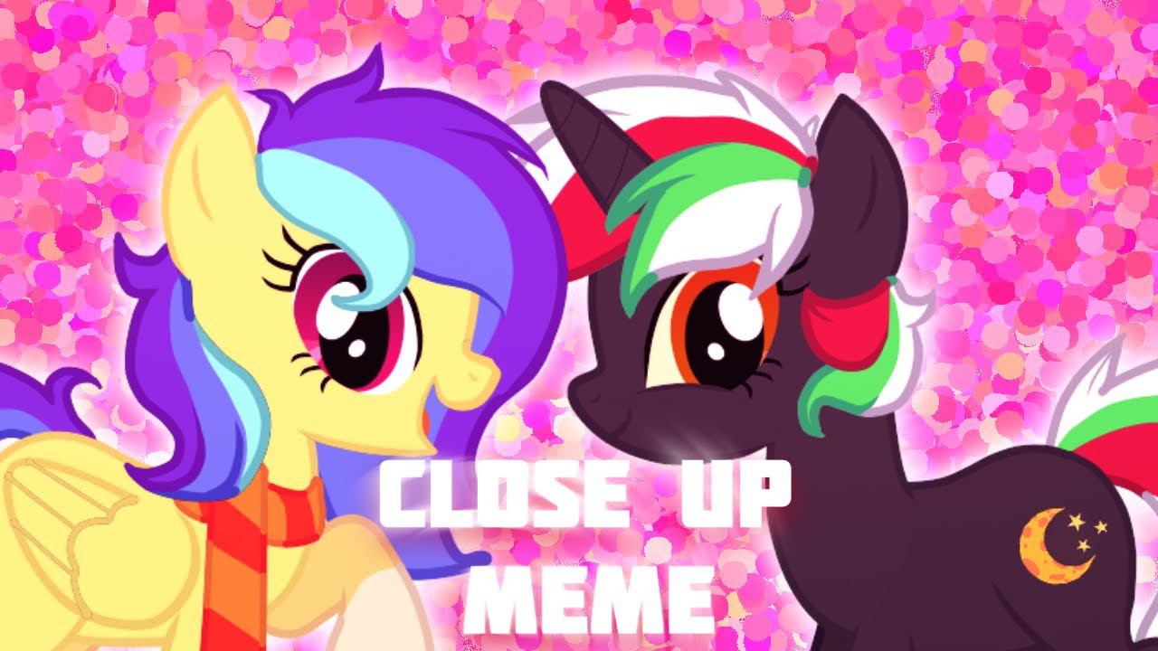 CLOSE UP    PONY MEME    animation