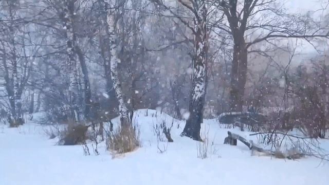 мартовская вьюга в Москве, вой волков, волки нападают на человека