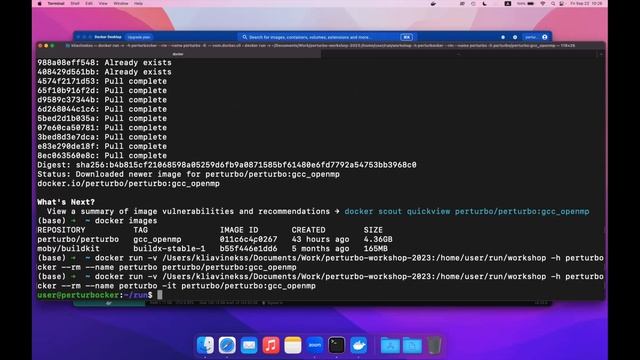 Hands-on 1: Using Perturbo via Docker. Testsuite.