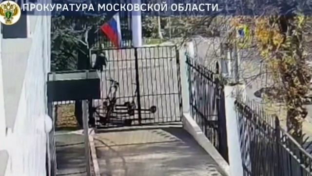 Мужчину, который сжег в Подмосковье российский флаг, приговорили к 10 годам тюрьмы.