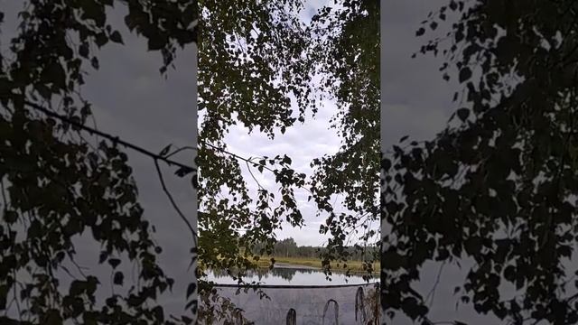 Охота на утку, день 1. "Голоса журавлей"
