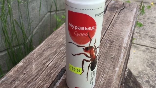 Борьба С Садовыми Муравьями
