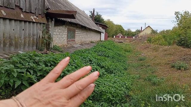 1000067176.mp4