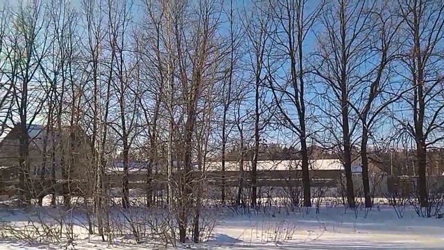 Ирбит! ДУБОВАЯ РОЩА ЗИМОЙ! Уникальная природа БУГРОВ! ! Наш аналог московского очень популярного