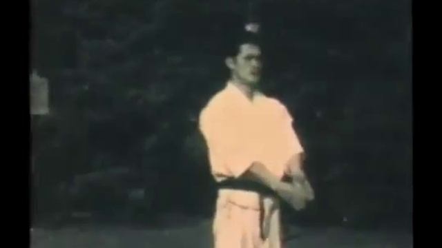 The Dynamic Techniques of SHOTOKAN KARATE   02