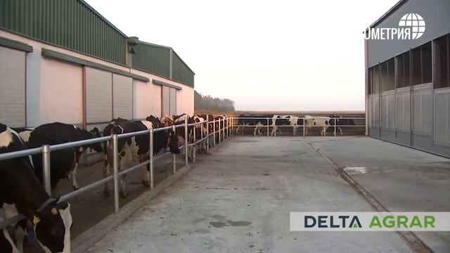 Стратегическая сессия в Сербии ООО "ПТК "АЙБИЭС" и ООО "Провет"