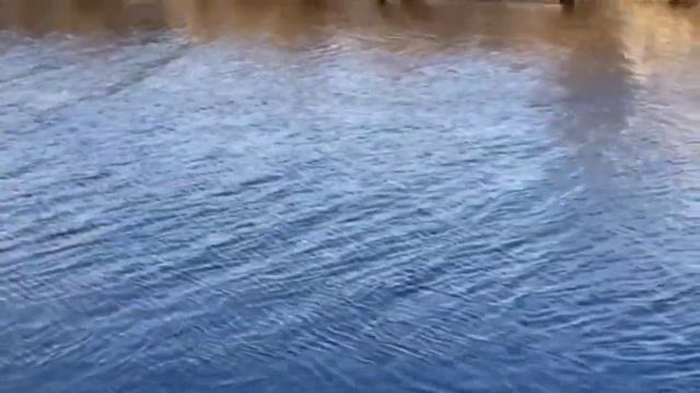 КОГДА ЛЮДМИЛЕ ОПЛАТЯТ СТРАХОВКУ. ДЕЛАЮЩИЙ ДОБРО.
