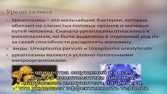 Связь уреаплазмы с циститом у женщин