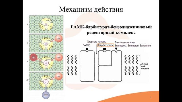 8.2. Производные барбитуровой кислоты (барбитураты)