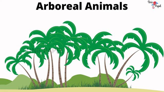 Animals Habitat | Terrestrial Animal | Aquatic Animals | Ariel Animals | Arboreal Animal | Amphibia