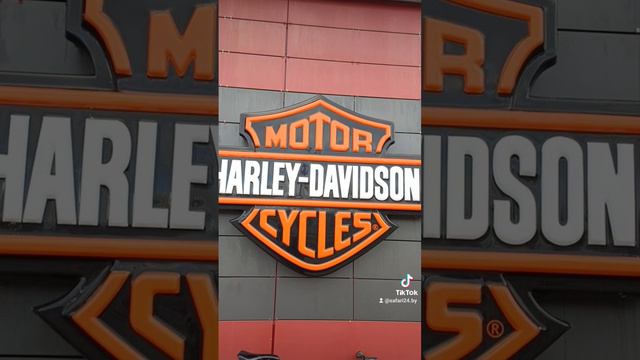 Harley-Davidson и фуджик