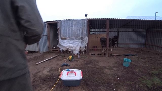 С такими помощниками не соскучишься!