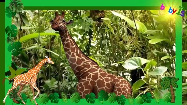 ЖИВОТНЫЕ АФРИКИ ВИДЕО ЗВУКИ / ЖИВОТНЫЕ ДЛЯ ДЕТЕЙ / WILD ANIMALS / TEACH ANIMALS / УЧИМ ЖИВОТНЫЕ