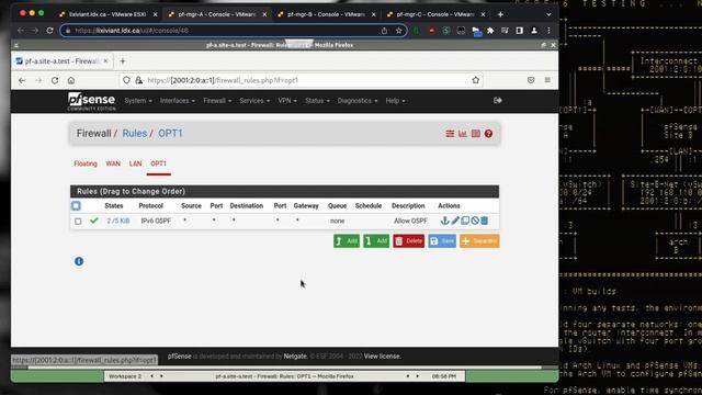 Dynamic IPv6 routing using pfSense and OSPF
