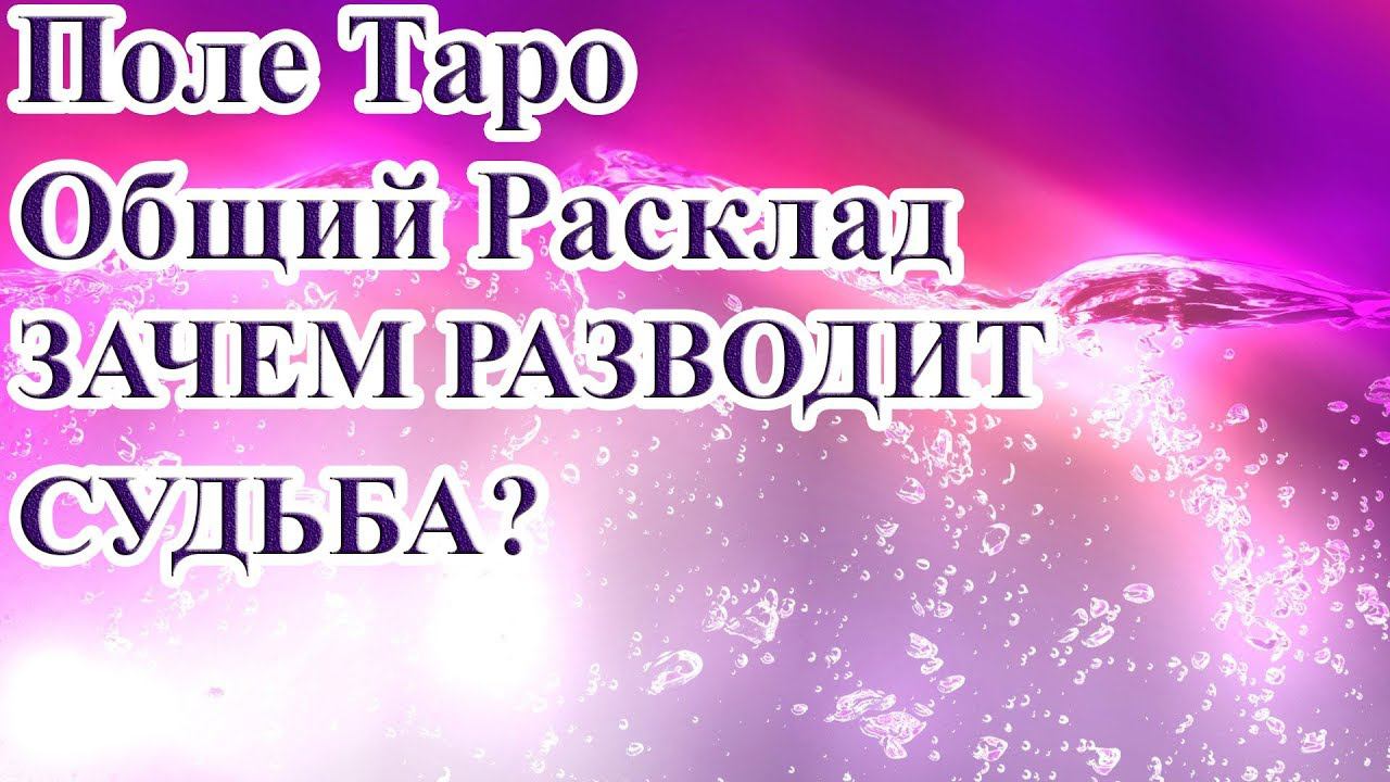 ЗАЧЕМ РАЗВОДИТ СУДЬБА?