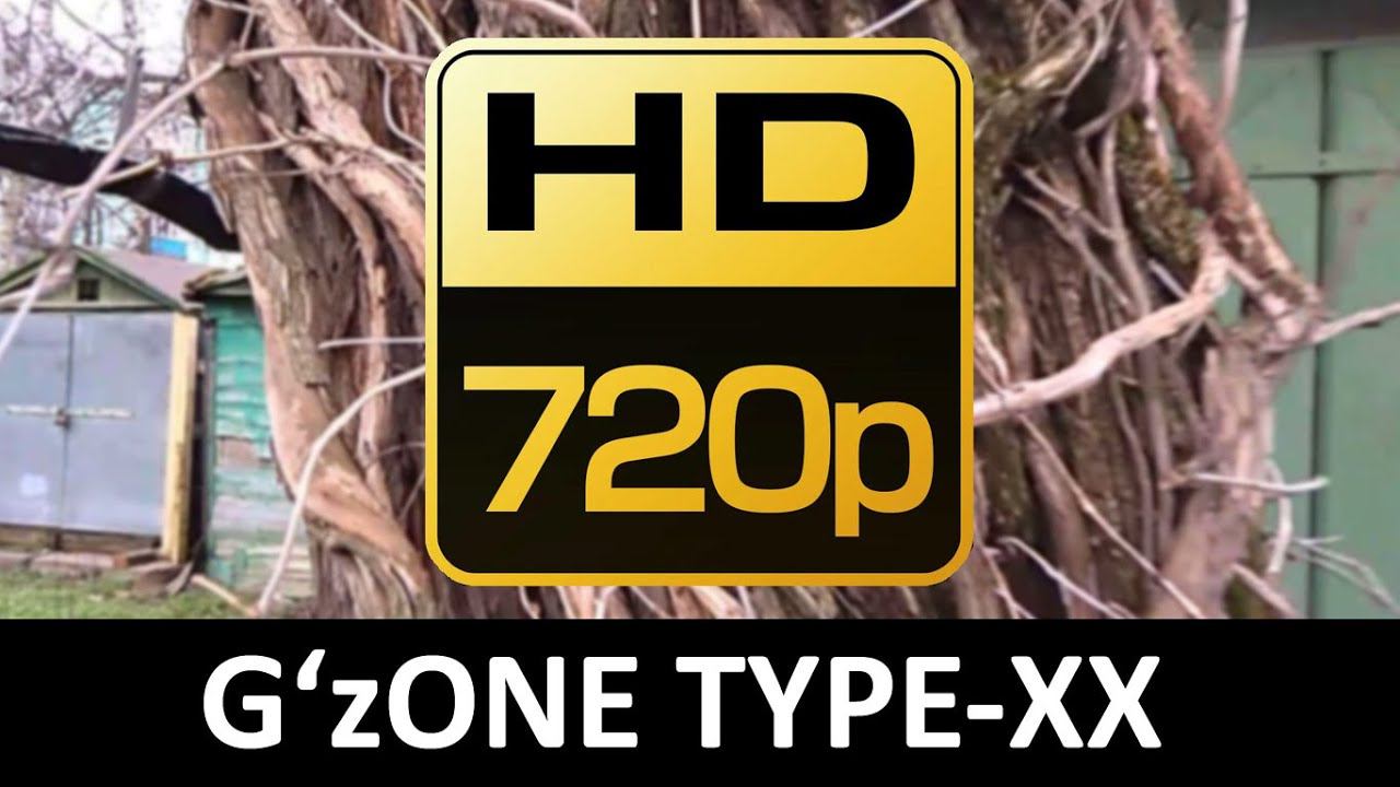 HD video с камеры G'zOne TYPE-XX