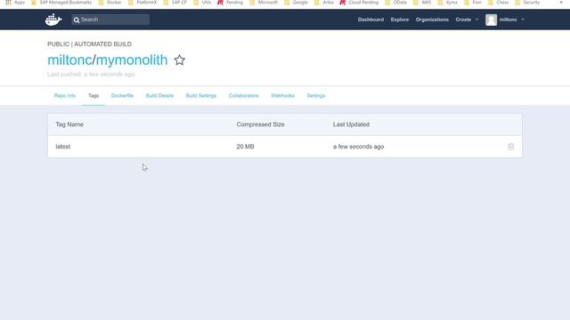 Running Docker Container in SAP Cloud Platform