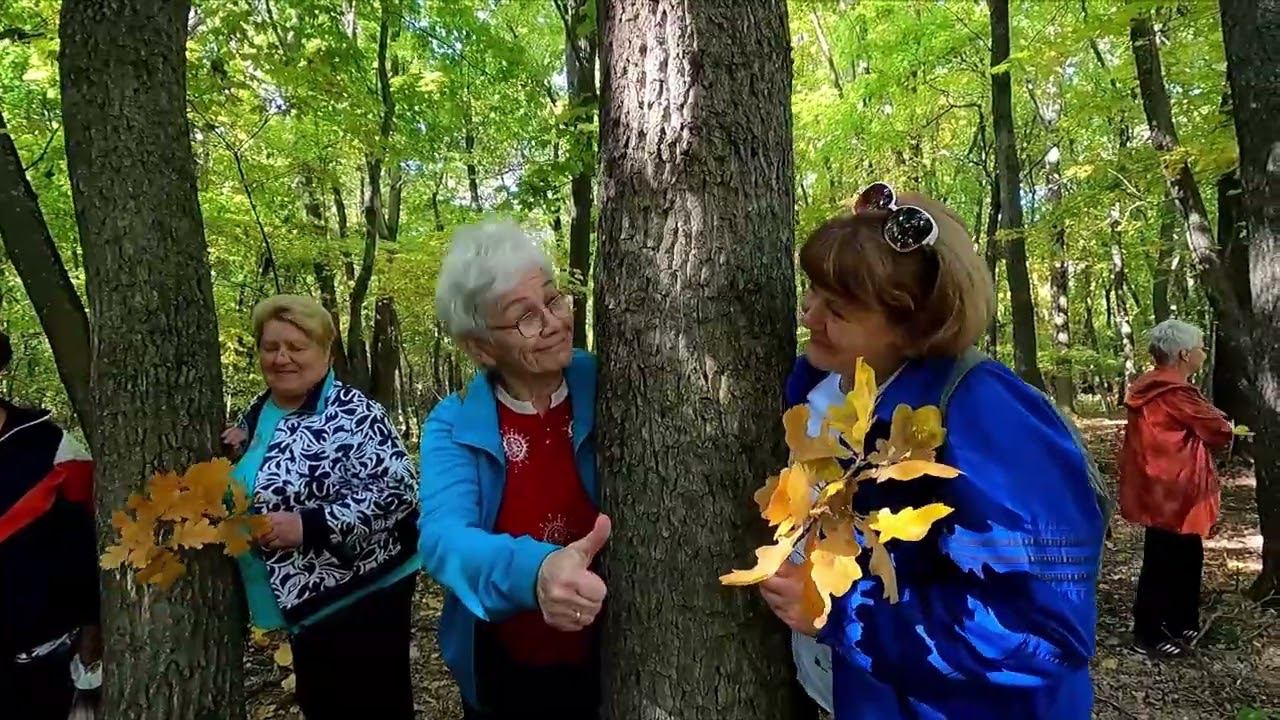 Прогулка по осеннему лесу в г. Калининске