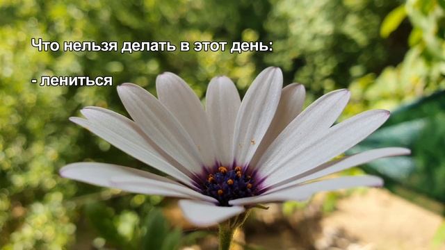 Что нельзя делать 27 июня в народный праздник день Елисея Гречкосея