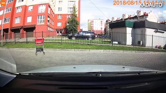 Подборка "Калининградский регистратор" №105