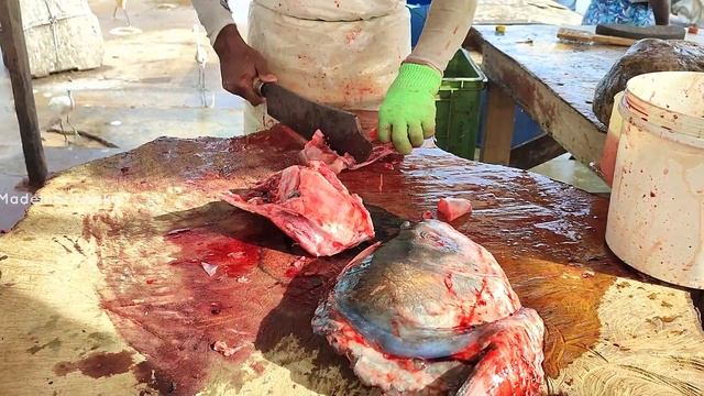 Huge Catla River Fish Cutting | Fresh Water Fish Cutting Skills