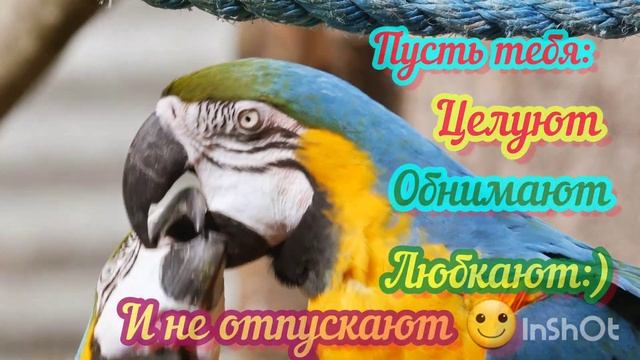 ХОРОШЕГО ДНЯ! Красивая музыкальная весёлая открытка с пожеланиями.