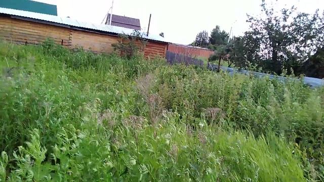 Новосибирск  Есть те,что удивляются разбою сотрудников ФСБ в Москве