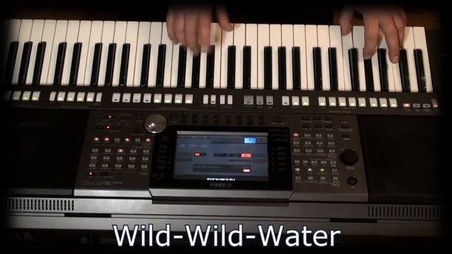 Валерий ШелестовModern TalkingWild-Wild-WaterYamaxa psr-970