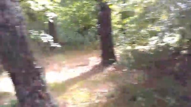 Коп в лиску арел на якорях