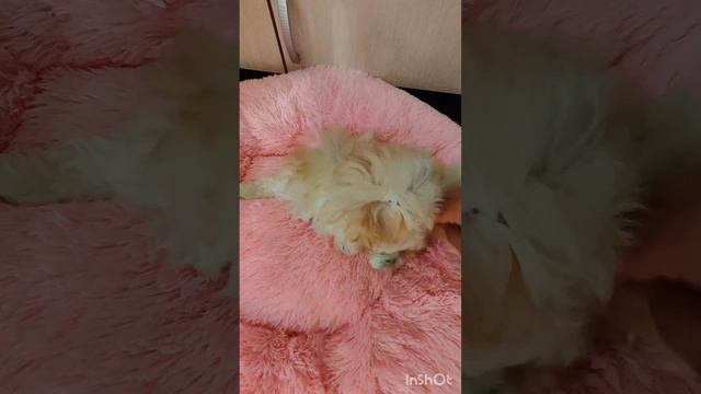 1000684629.mp4