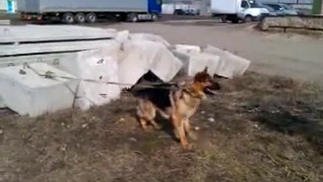 Второе занятие по защите