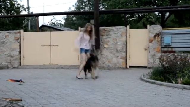 фристайл